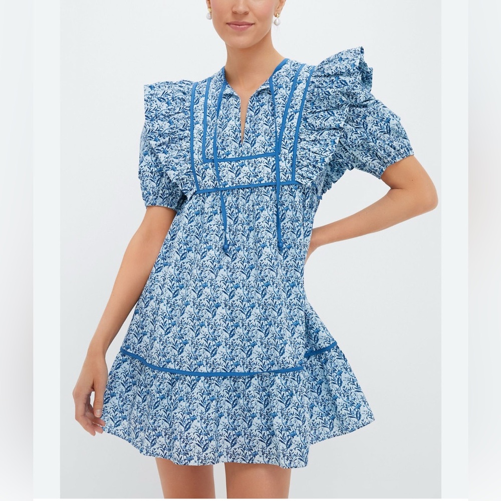 Blue Floral Ruffle-Sleeve Mini Dress - Picture 7 of 11